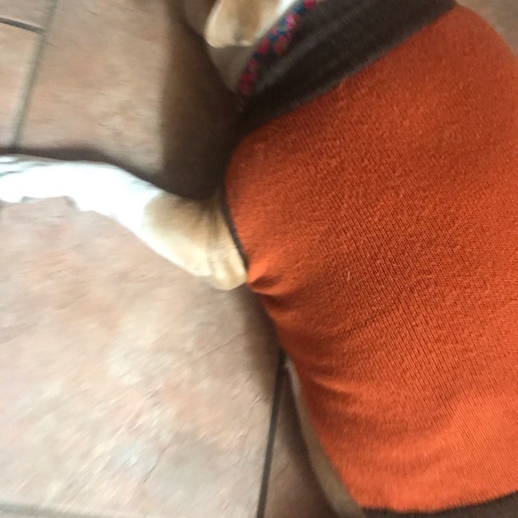 Dog sweater - Picture 2 of 6